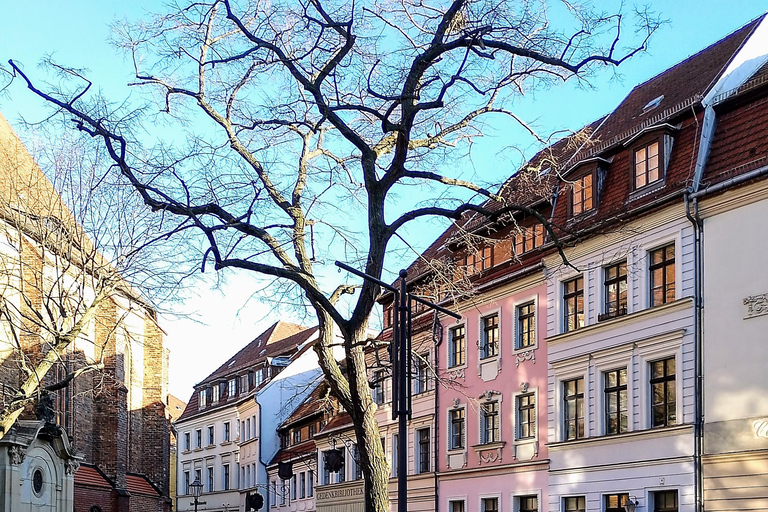 Tour di Berlino Est Ovest e Muro: I luoghi più belli da visitare in bicicletta