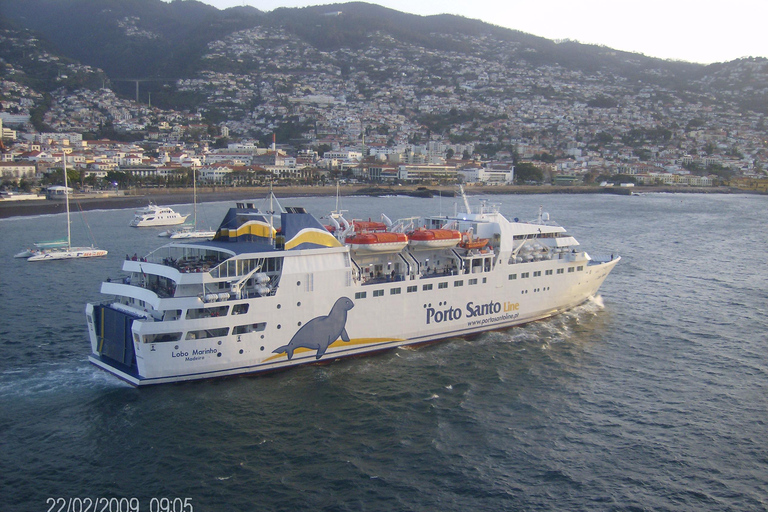 Z Funchal: 1-dniowy rejs i wycieczka na wyspę Porto SantoZ Funchal: 1-dniowy rejs wycieczkowy do Porto Santo