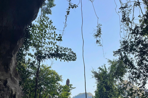 Half day Hiking Cat Ba National Park With guide