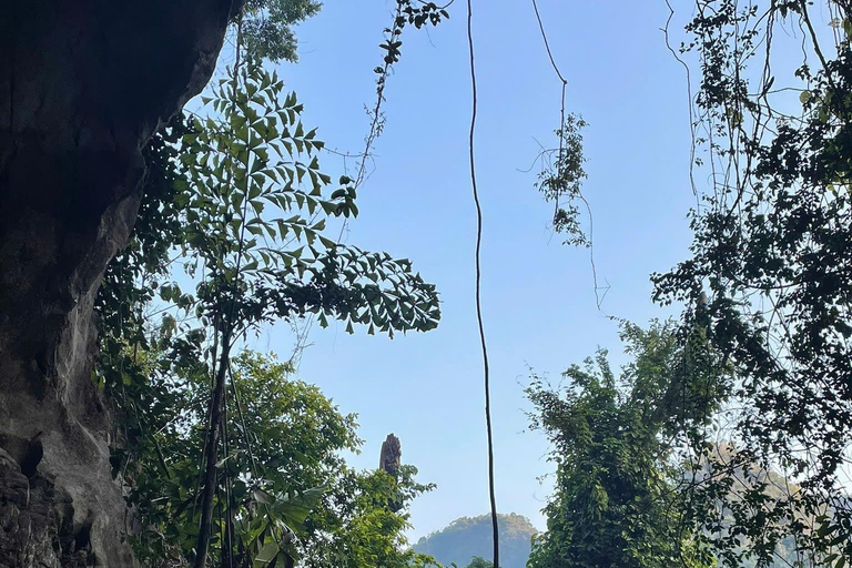 Half day Hiking Cat Ba National Park With guide