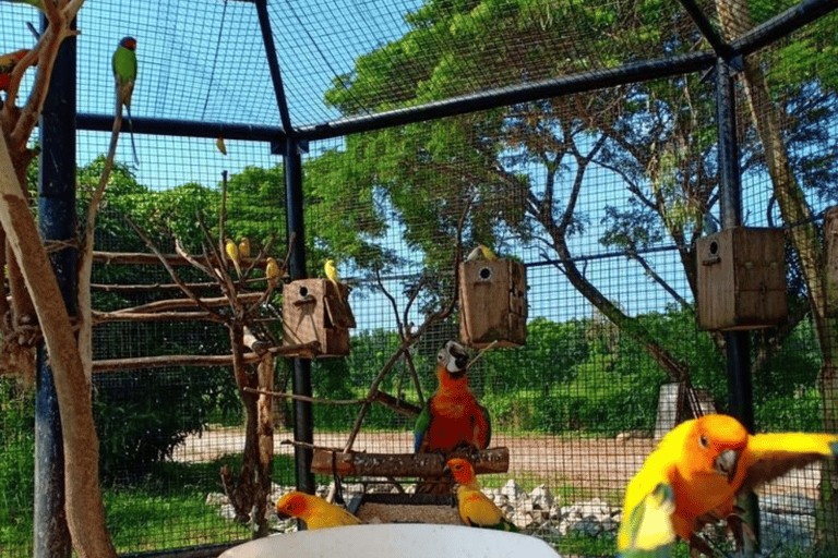 Quito: Zoo Tour with Transportation and Admission or Ticket