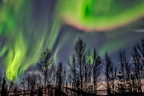 ألاسكا: جولة خاصة لمشاهدة الشفق القطبي