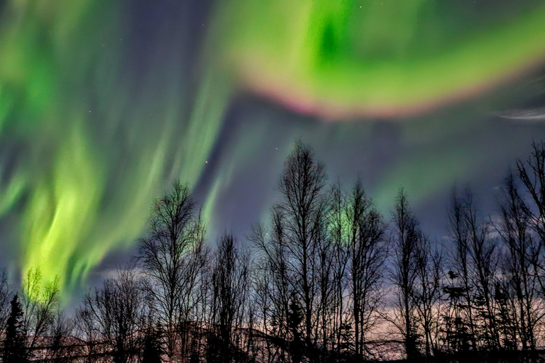 ألاسكا: جولة خاصة لمشاهدة الشفق القطبي