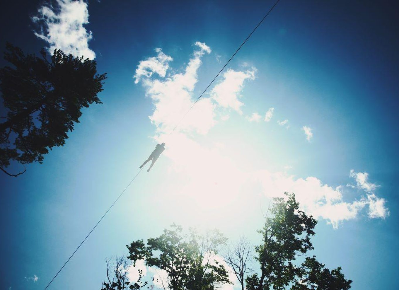 Henderson, Minnesota: Zipline Canopy Tour med 14 linjer