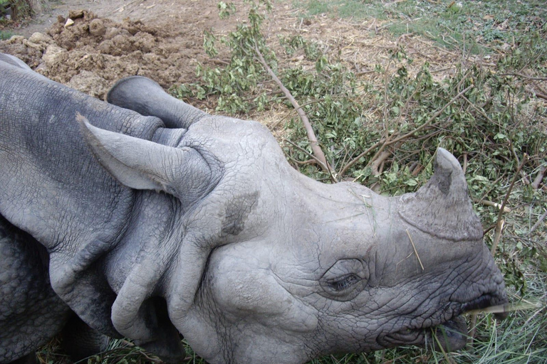 Kathmandu: 4-Day Chitwan National Park & Chitlang Tour