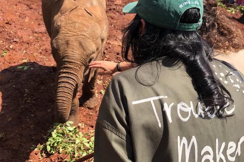 Nairobi Park, olifantenopvangcentrum en giraffencentrum tourZonder toegangsbewijs