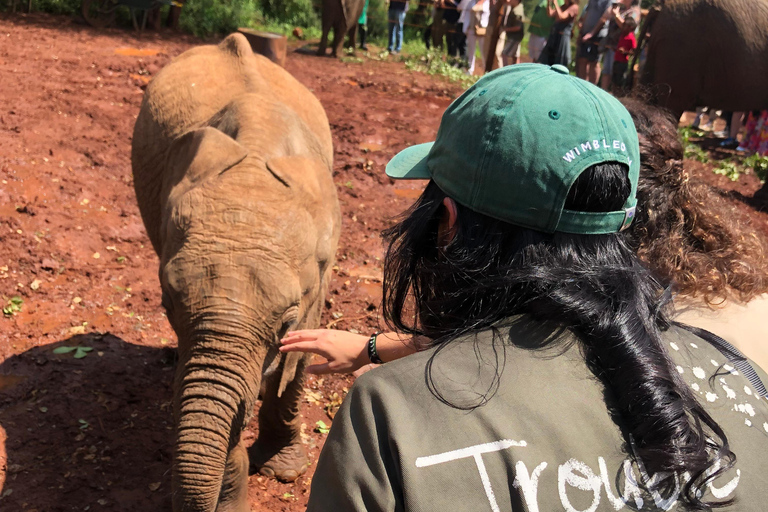 Nairobi Park, olifantenopvangcentrum en giraffencentrum tourZonder toegangsbewijs