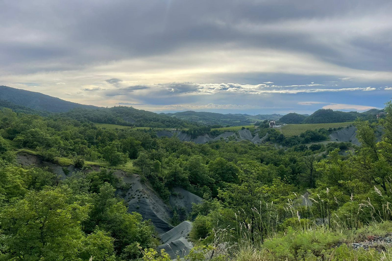 UNESCO Piedmont: Wine, Truffles, and Serravalle Outlet – Half-Day – Private UNESCO Piedmont: Wine, Truffles, and Serravalle Outlet – Half-Day, Private Tour