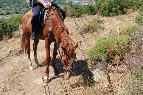 Bodrum: Horse Riding Experience with Forest or Seaside Route Seaside Horse Riding Tour (2 Hours – Beach Route)