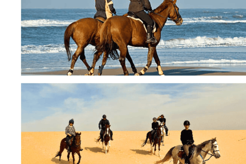 Doha: Fursan Al Sahra/Knights of the Desert Horse Experience