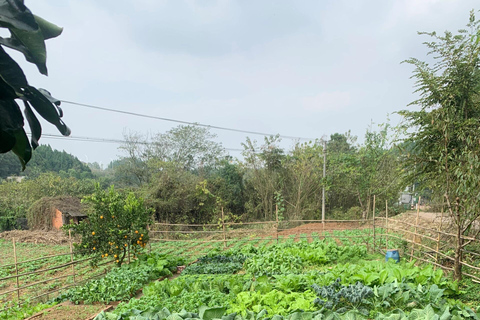 Zhangjiajie Tour: Embroidery, Farm Cooking &amp; Xiangxi Show