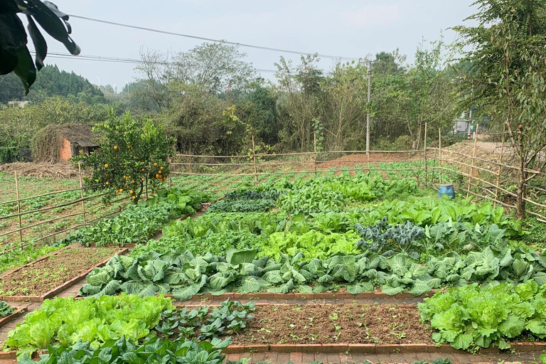 Zhangjiajie Tour: Embroidery, Farm Cooking &amp; Xiangxi Show