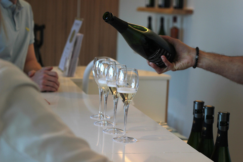 Reims: Vineyard tour and tasting of Grands Crus champagnes Reims: Visit the vineyards and taste Grands Crus Champagne