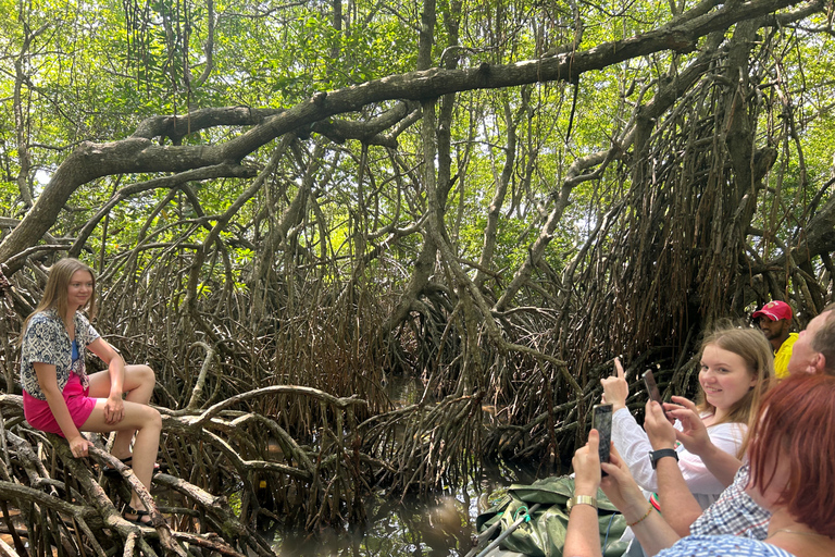 2h Bentota River Safari: Crocs, Monkeys, Mangrove & more