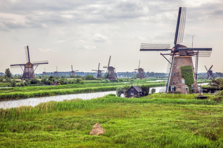 Rotterdam: Kinderdijk Windmill Village Entry Ticket Entry Ticket for Weekends
