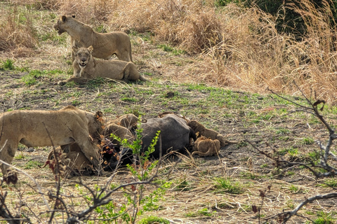 Arusha: 4 giorni di safari nel Serengeti e nel cratere del NgorongoroSafari privato