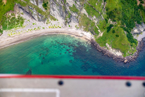 Bear Viewing Tour from Homer, Alaska