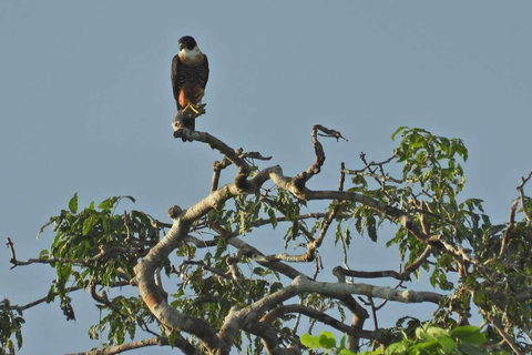 EXCURSION MACAWS CHUNCHO 4J/3N