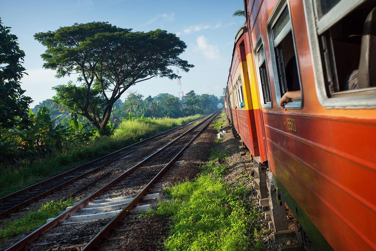 Colombo: All-Inclusive Scenic Train Journey To/From Ella From Ella: All Inclusive Scenic Train Journey to Colombo