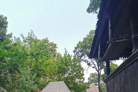 From Craiova: Bucharest Day Tour