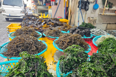 Busan: Kimchi Kitchens Food Tour with 10+ Tastings