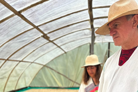 From Medellín: Coffee Farm Hiking & Exotic Fruit Marketplace