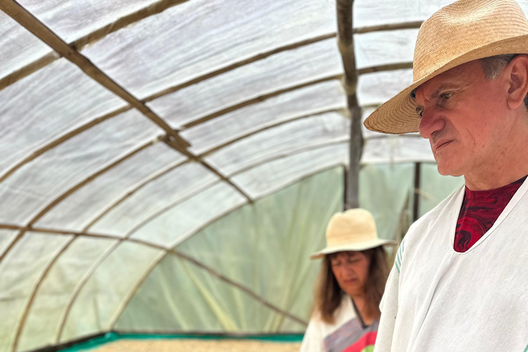 From Medellín: Coffee Farm Hiking & Exotic Fruit Marketplace