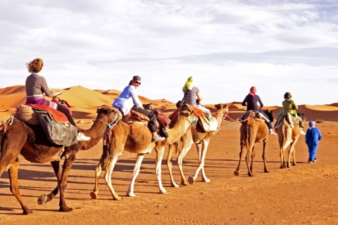 Saoedi-Arabië: De Arabische woestijn tijdens een safari-avontuur in JeddahSaoedi-Arabië: Jeddah woestijnsafari zonder lunch