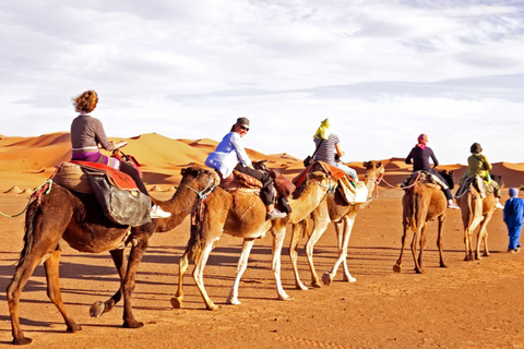 Saudi-Arabien: Arabische Wüste auf einem Jeddah Safari AbenteuerSaudi-Arabien: Jeddah Wüstensafari Tour ohne Mittagessen