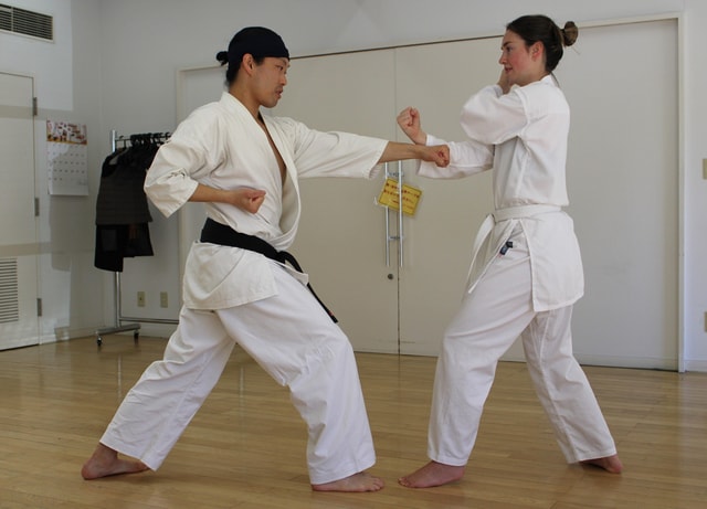 Tokyo: Karate Experience with Former All-Japan Champion