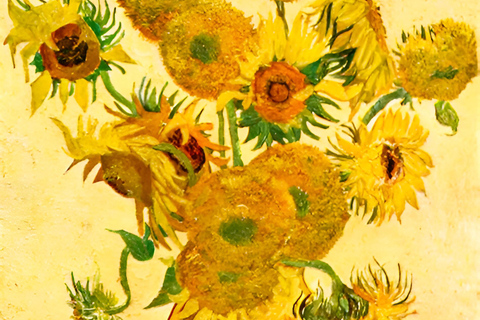 Visite guidée du musée Van Gogh d&#039;Amsterdam avec billets inclusAmsterdam : Visite du musée Van Gogh avec entrée coupe-file