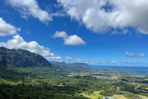 Waikiki: Verborgen Hawaii Waterval Wandeling en Strand Tour