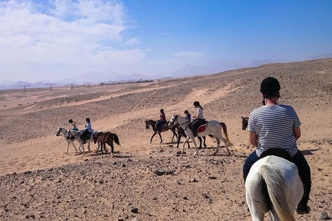 El Gouna : Randonnée à cheval dans le désert et la mer avec baignade en option1 heure de quad + 1 heure d&#039;équitation — Combo double aventure