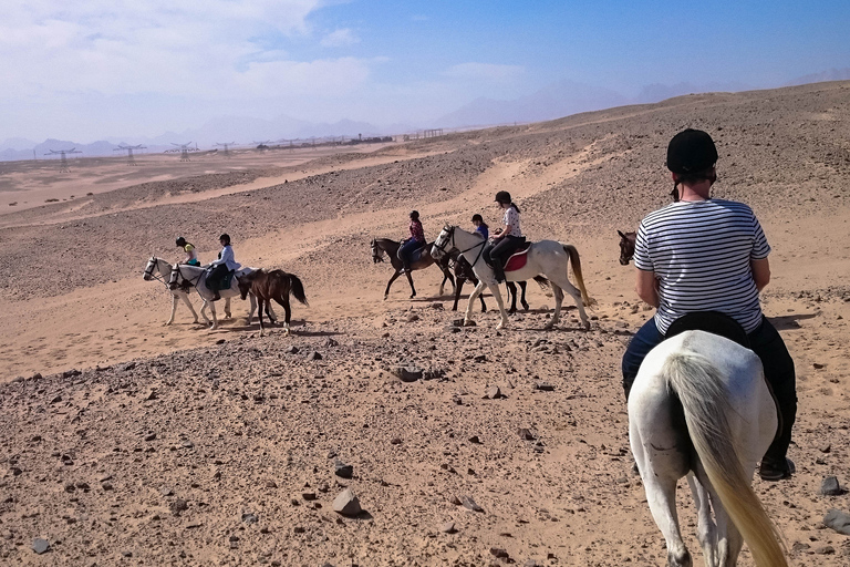 El Gouna : Randonnée à cheval dans le désert et la mer avec baignade en option1 heure de quad + 1 heure d&#039;équitation — Combo double aventure