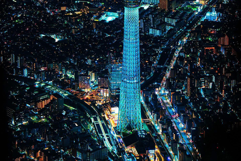 Tokyo Private Sightseeing Tour Customizable with Guide