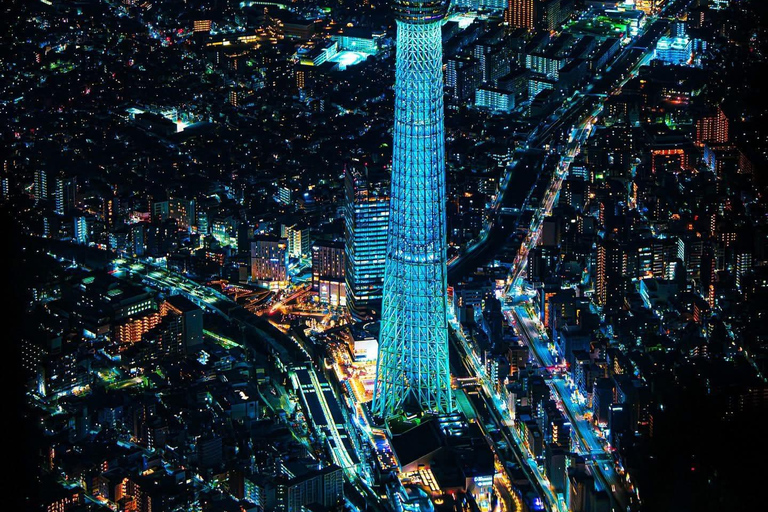 Tokyo Private Sightseeing Tour Customizable with Guide