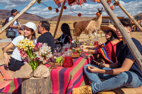 Cusco: Sacred Valley Tour with Picnic and Llamas