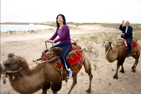 Agadir: Paseo en camello con té y traslados