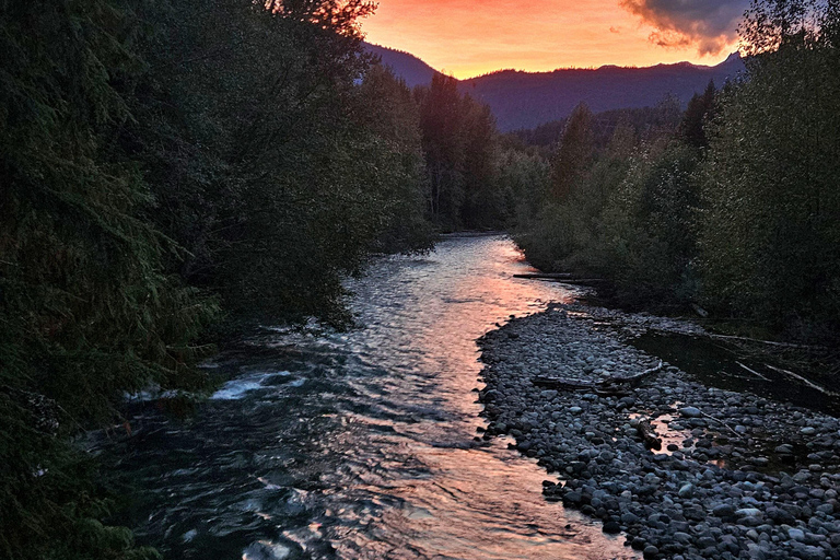 Whistler: Morning with the Bears Land Rover Scenic Tour