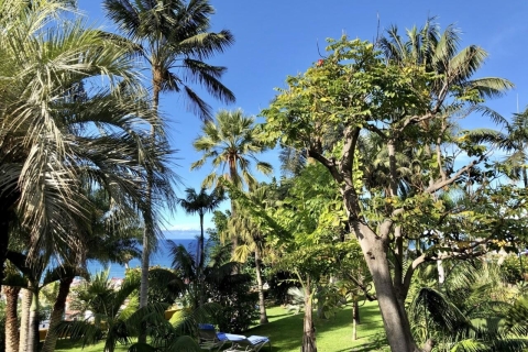 5-daagse wellness- en ontspanningsvakantie in Noord-Tenerife