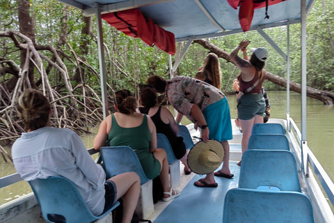 مانويل أنطونيو: جولة بالقارب بين أشجار المانغروف لمشاهدة الحيوانات