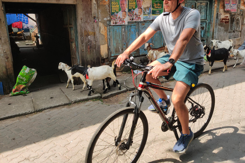 Passeio de bicicleta pelo Bom Dia Kochi