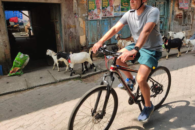 Tour in bicicletta di Kochi del buongiorno