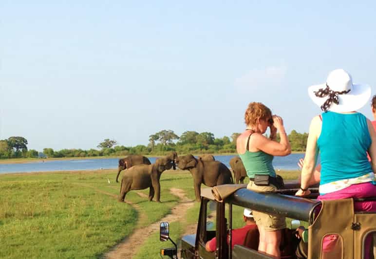 Depuis Kandy : visite d'une journée à Sigiriya et au parc national de Minneriya