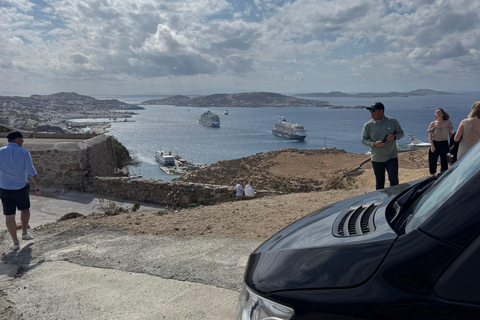 Mykonos: Private Tour by Luxury Van