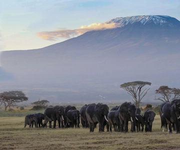 Arusha: Kilimanjaro Hike, Tarangire & Ngorongoro 3-Day Tour