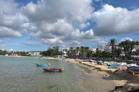 Hammamet: Guided Medina & Market Tour From Mahdia to Hammamet & Nabeul