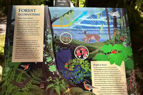 Ketchikan: Custom island tour with Wild Wolf Tours