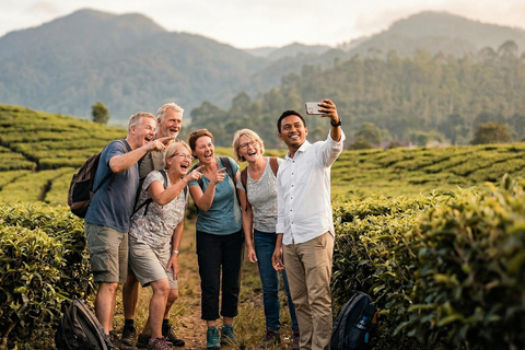 Jakarta: Bandung Waterfall, Dusun Bambu & Tea Tour Jakarta: Bandung Highlands Day Trip with Tea Trails & Lunch