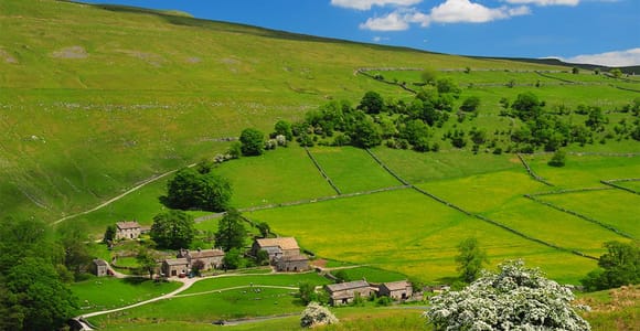 Dry-stone walls crossing green hills and limestone countryside in the Yorkshire Dales